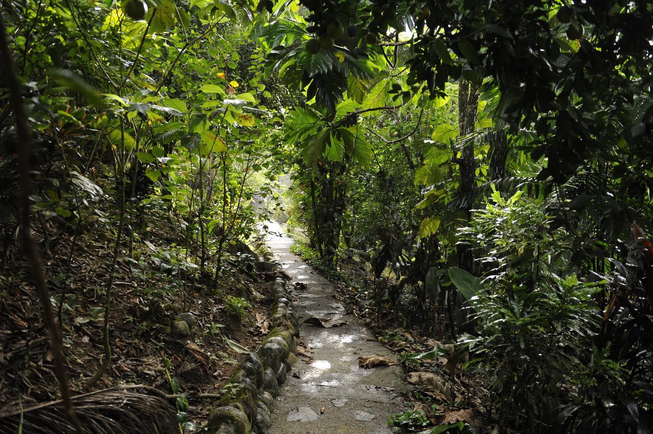 Omega Tours Eco-Jungle Lodge La Ceiba Eksteriør billede