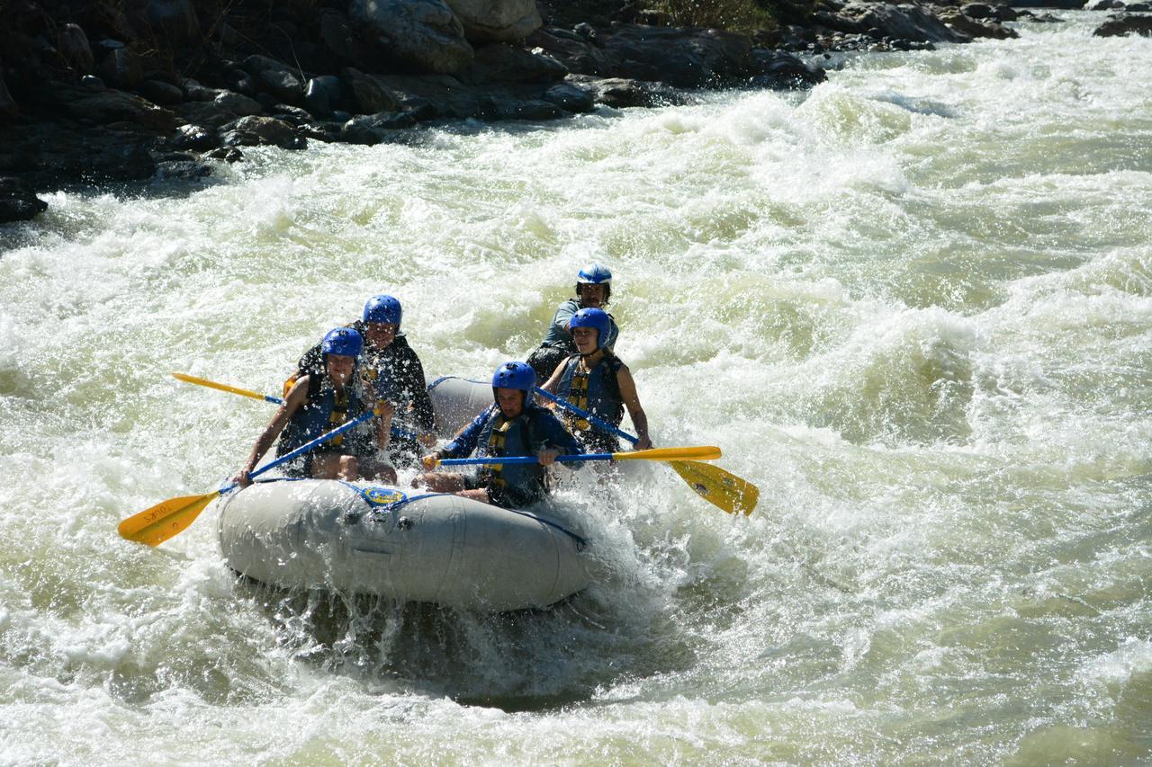 Omega Tours Eco-Jungle Lodge La Ceiba Eksteriør billede