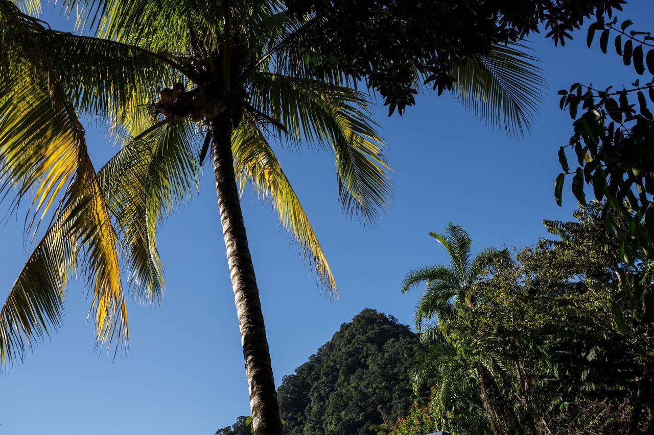 Omega Tours Eco-Jungle Lodge La Ceiba Eksteriør billede