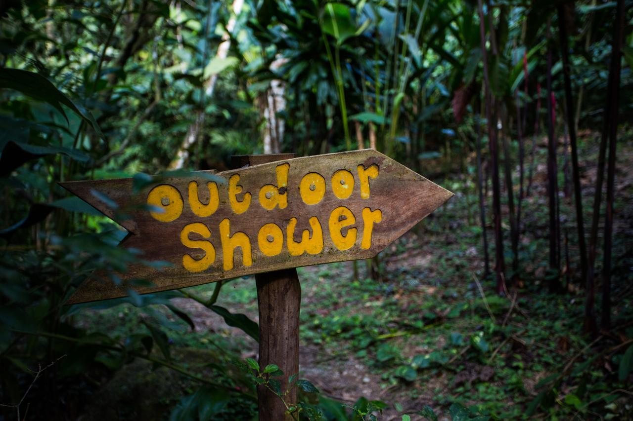 Omega Tours Eco-Jungle Lodge La Ceiba Eksteriør billede