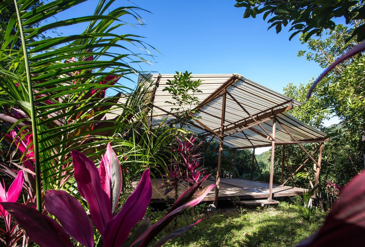 Omega Tours Eco-Jungle Lodge La Ceiba Eksteriør billede