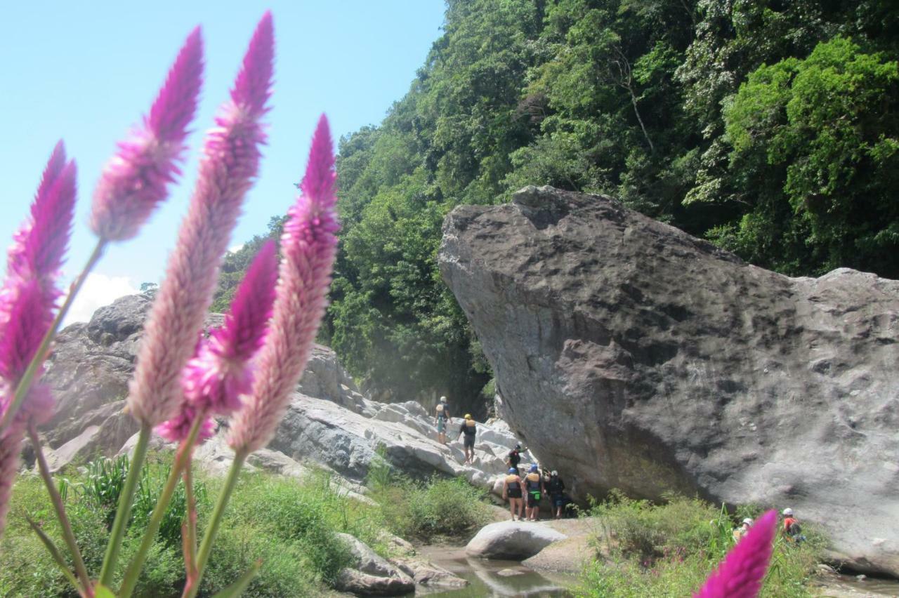 Omega Tours Eco-Jungle Lodge La Ceiba Eksteriør billede
